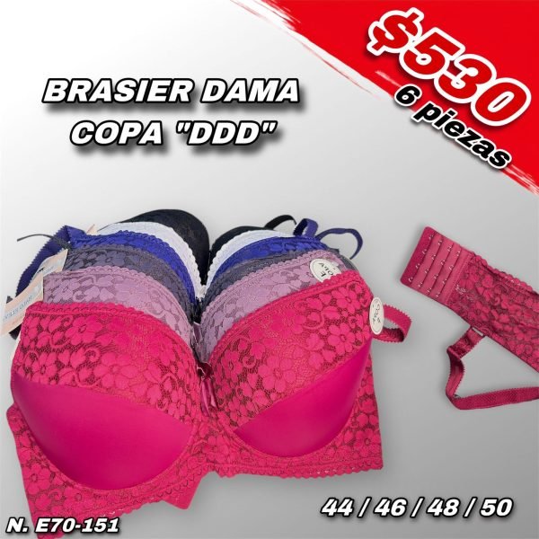 BRASIER DAMA COPA "DDD"