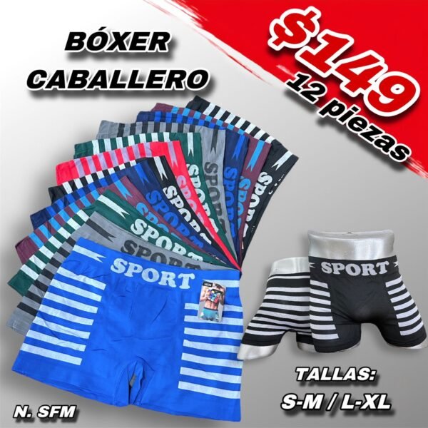 BOXER CABALLERO