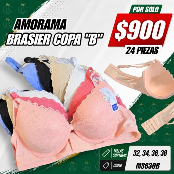 BRASIER AMORAMA COPA "B" CORRIDA